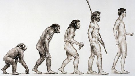 basics-of-evolution-theory.jpg